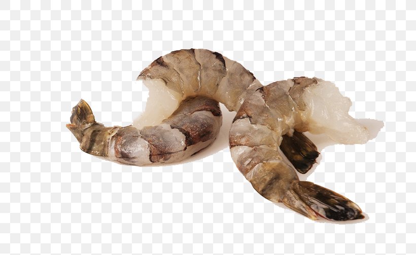Caridea Giant Tiger Prawn Shrimp Seafood, PNG, 720x503px, Caridea, Animal Source Foods, Black, Food, Frozen Food Download Free