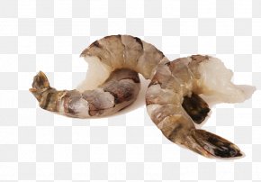 Two Blackheadless Black Tiger Shrimp - Caridea Giant Tiger Prawn Shrimp Seafood PNG