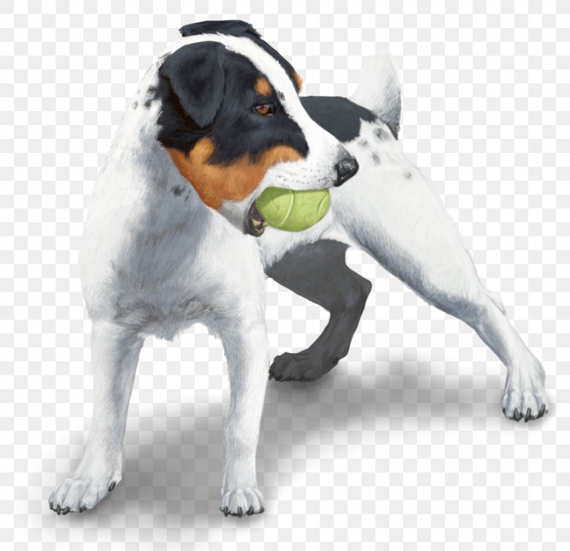 Dog Breed Jack Russell Terrier Danish–Swedish Farmdog American Staffordshire Terrier Puppy, PNG, 900x871px, Dog Breed, American Staffordshire Terrier, Breed, Bull Terrier, Carnivoran Download Free