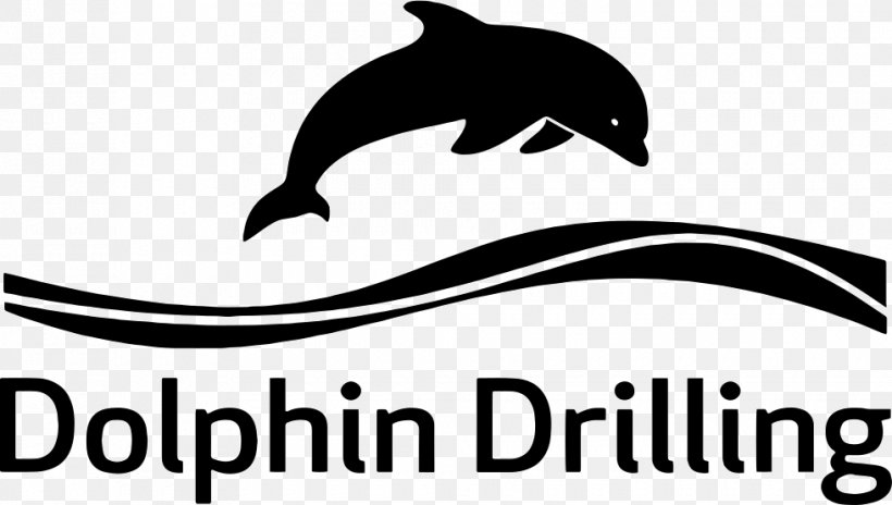 Dolphin Clip Art Porpoise Cetacea Brand, PNG, 980x555px, Dolphin, Artwork, Beak, Black And White, Brand Download Free
