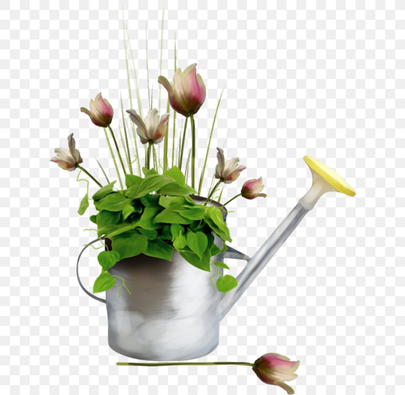 June Floral Design Internet Forum Watering Cans, PNG, 622x800px, 2016, June, Artificial Flower, Blog, Cut Flowers Download Free