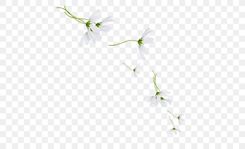 Petal Floral Design Twig Desktop Wallpaper Plant Stem, PNG, 500x500px, Petal, Blossom, Branch, Computer, Flora Download Free