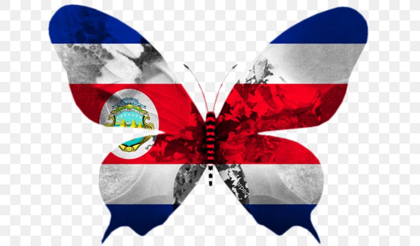 Butterfly Flag Of Costa Rica Estonia, PNG, 640x480px, Butterfly, Costa Rica, Estonia, Estonian, Flag Download Free