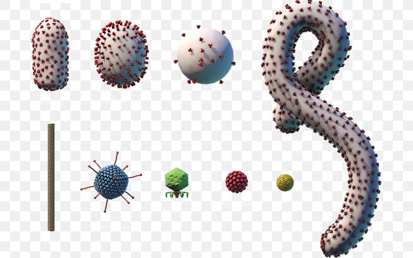 Ebola Virus Disease Microorganism EBOV Bacteria, PNG, 697x513px, Virus, Bacteria, Cell, Ebola Virus Disease, Ebov Download Free