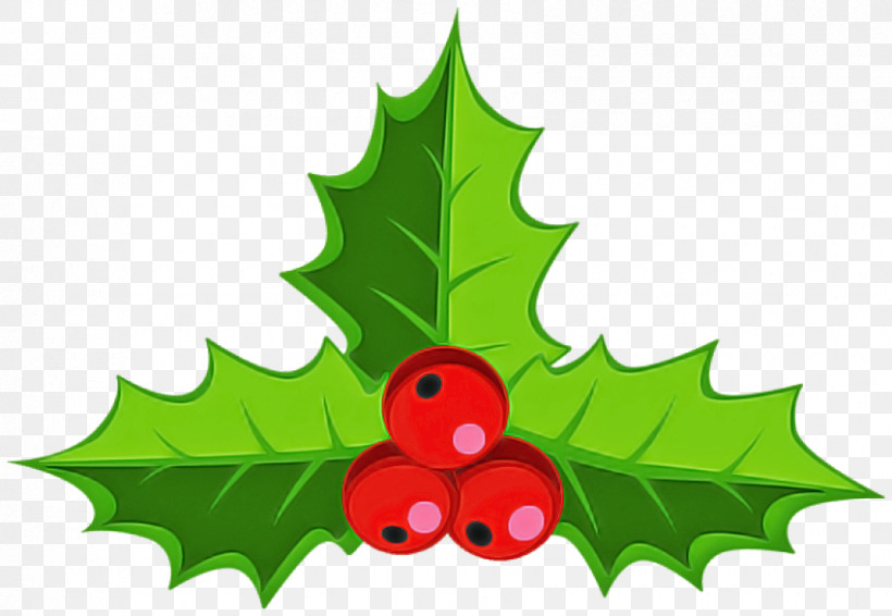Holly, PNG, 850x587px, Holly, American Holly, Hollyleaf Cherry, Leaf, Plane Download Free