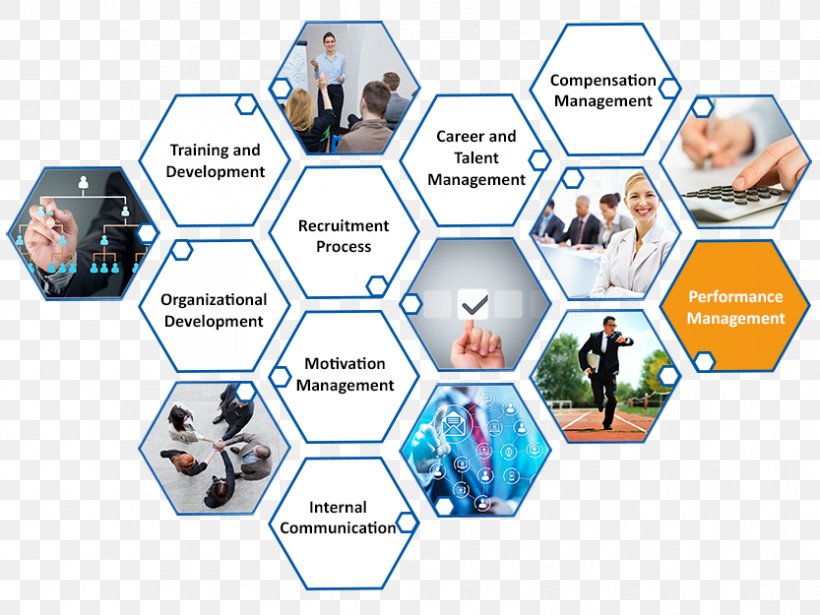 Performance Management Human Resource Management Management System, PNG, 833x625px, Performance Management, Balanced Scorecard, Business Performance Management, Career, Career Management Download Free