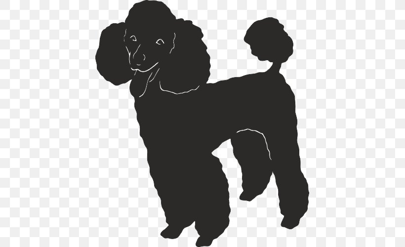 Dog Breed Puppy Companion Dog Poodle Non-sporting Group, PNG, 500x500px, Dog Breed, Afghan Hound, Black, Black And White, Breed Download Free