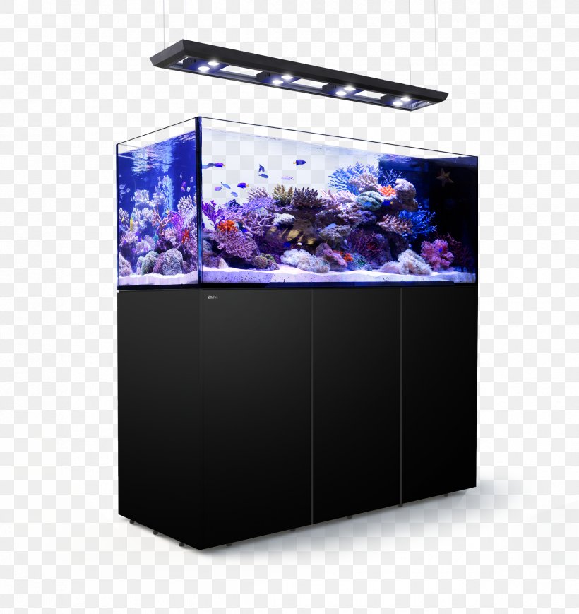 Red Sea REEFER Peninsula Reef Aquarium, PNG, 2374x2516px, Red Sea, Aquarium, Aquarium Lighting, Coral, Coral Reef Download Free