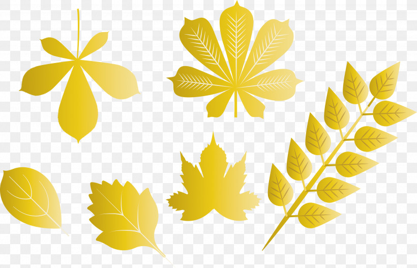 Autumn Leaf Autumn Color, PNG, 3000x1930px, Autumn Leaf, Autumn Color, Symmetry, Yellow Download Free