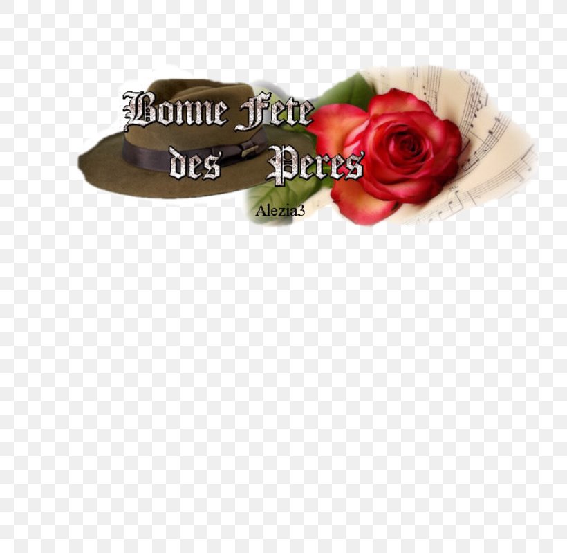 Garden Roses Painting Embroidery Cross-stitch, PNG, 800x800px, Garden Roses, Crossstitch, Diamond, Do It Yourself, Embroidery Download Free