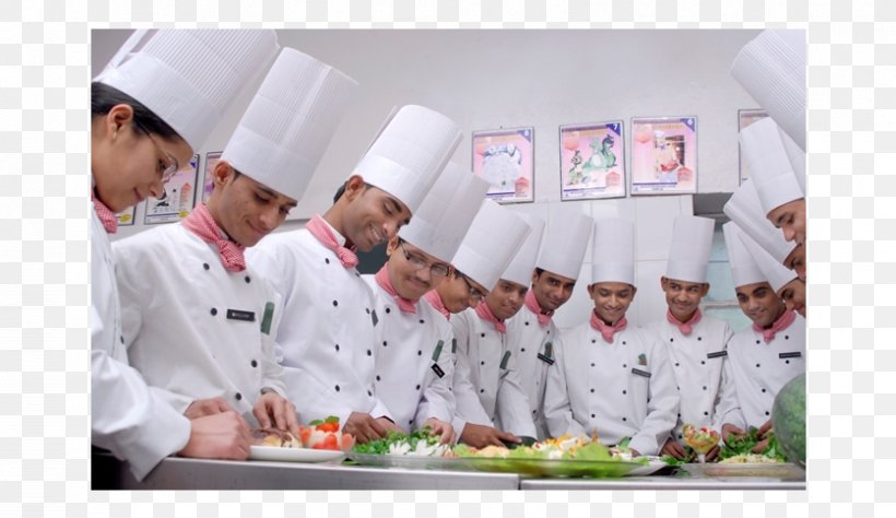 Institute Of Hotel Management, Catering Technology And Applied Nutrition, Mumbai Chef Hospitality Industry Chitkara International School College, PNG, 836x484px, Chef, Catering, Chandigarh, Chief Cook, College Download Free