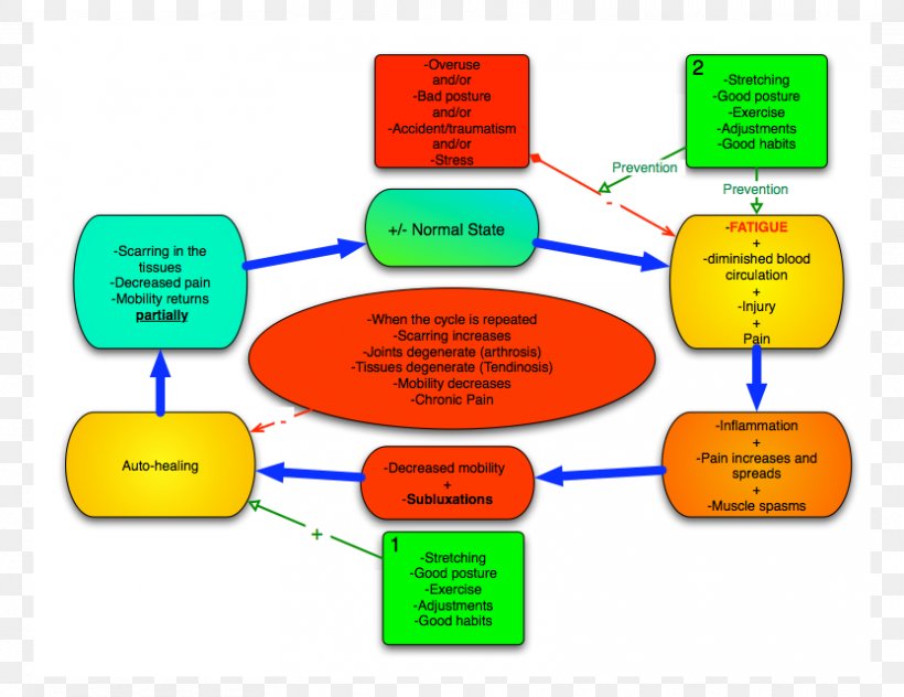 Material Brand Diagram, PNG, 833x643px, Material, Area, Brand, Communication, Diagram Download Free