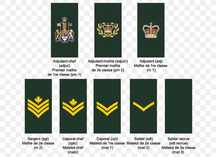 Military Rank Royal Canadian Air Force Canadian Armed Forces Non-commissioned Officer Army Officer, PNG, 700x595px, Military Rank, Air Force, Army Officer, Brand, Cadet Download Free
