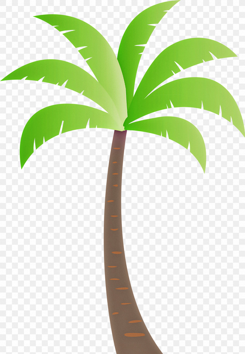 Palm Trees, PNG, 2073x3000px, Palm Tree, Archontophoenix, Archontophoenix Cunninghamiana, Areca Palm, Beach Download Free