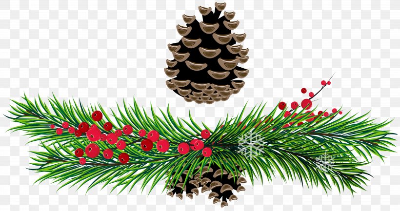 Pine Clip Art, PNG, 5610x2967px, Pine, Branch, Christmas, Christmas Decoration, Christmas Lights Download Free