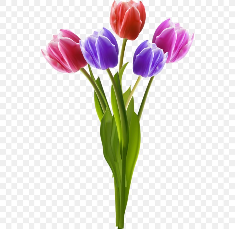 Vase Flower Tulip Clip Art, PNG, 536x800px, Vase, Artificial Flower, Cut Flowers, Decorative Arts, Flower Download Free