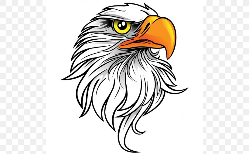 Eagle Euclidean Vector Clip Art, PNG, 518x509px, Eagle, Art, Artwork, Bald Eagle, Beak Download Free