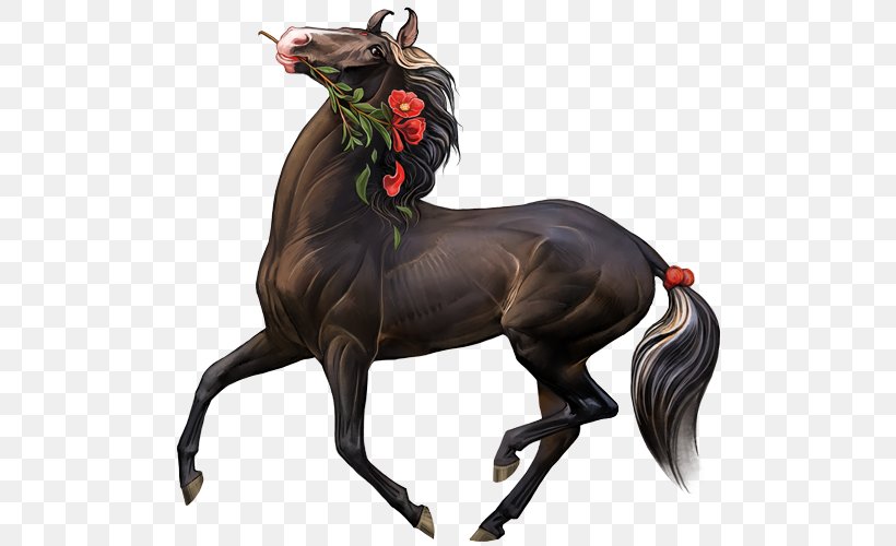 Marwari Horse Stallion Howrse Art Drawing, PNG, 500x500px, Marwari Horse, Art, Art Museum, Deviantart, Digital Art Download Free