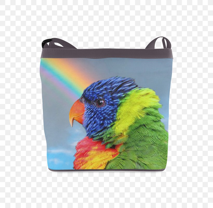 Parrot Budgerigar Cockatiel Loriini Rainbow Lorikeet, PNG, 800x800px, Parrot, Amazon Parrot, Beak, Bird, Blanket Download Free