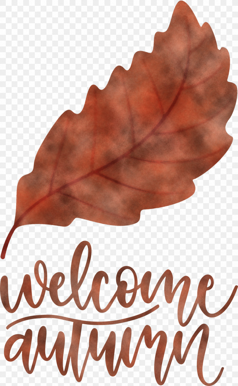 Welcome Autumn Autumn, PNG, 1849x3000px, Welcome Autumn, Autumn, Biology, Leaf, Meter Download Free