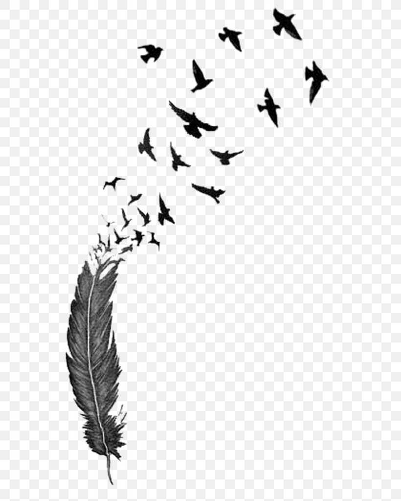 Bird Feather Tattoo Drawing Clip Art, PNG, 1229x1536px, Bird, Abziehtattoo, Beak, Black And White, Branch Download Free