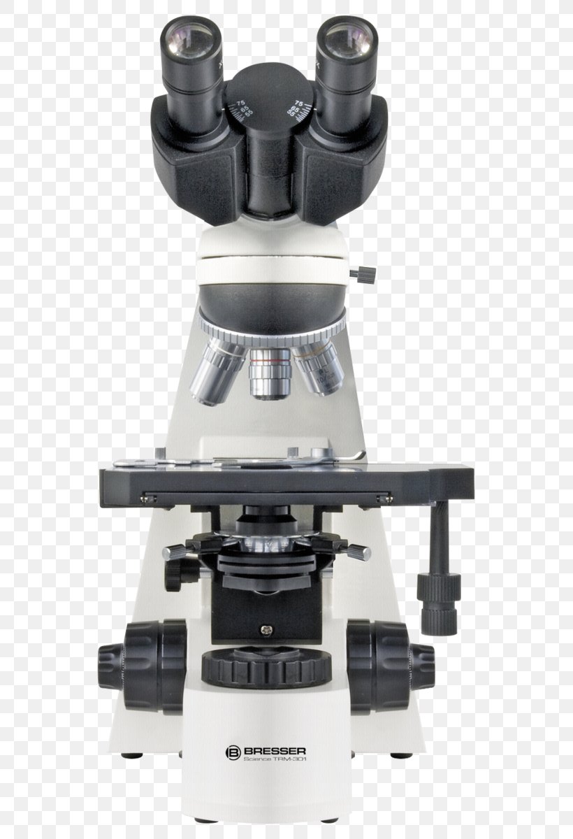 Optical Microscope Optics Objective Polarized Light Microscopy, PNG, 583x1200px, Microscope, Biology, Bresser, Eyepiece, Life Download Free