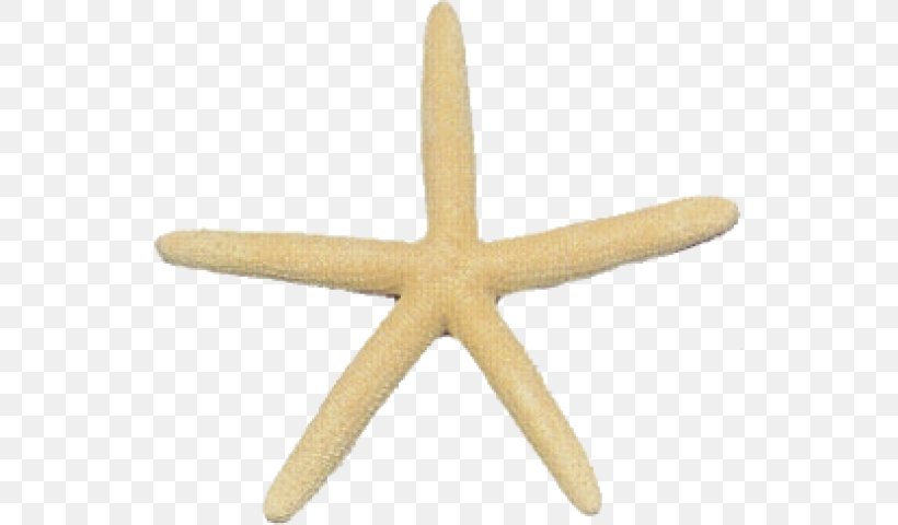 Starfish Earring Jewellery Necklace, PNG, 537x480px, Starfish, Asciugamani Da Spiaggia, Beach Towels, Bead, Bracelet Download Free