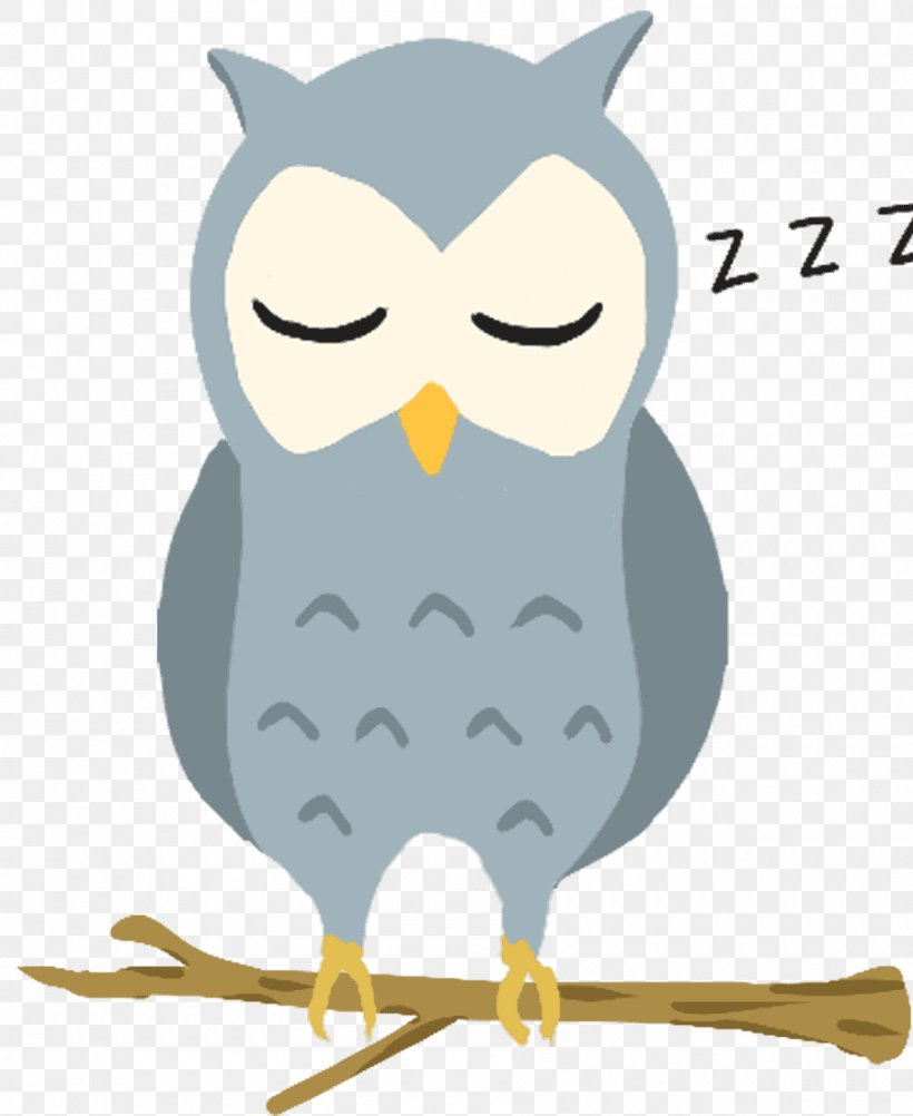 Tawny Owl T-shirt Bird Hoodie, PNG, 900x1100px, Owl, Beak, Bird, Bird Of Prey, Eurasian Eagleowl Download Free