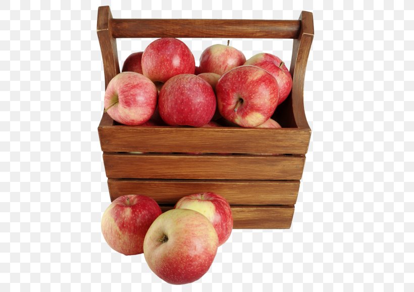 Applesauce Cake Basket Fruit, PNG, 500x578px, Apple, Applesauce Cake, Auglis, Basket, Basket Of Apples Download Free