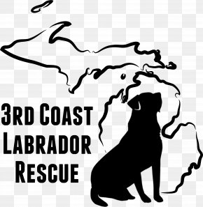 Labrador Retriever - Labrador Retriever Mecosta-Osceola Transit Auth Information Clip Art PNG