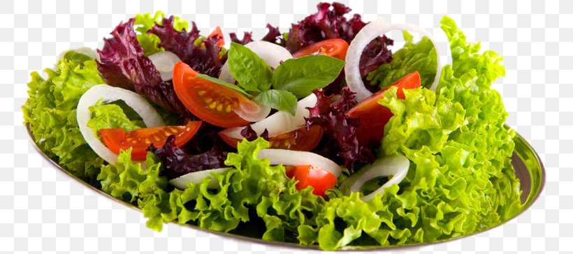 Pasta Salad Vegetarian Cuisine Israeli Salad Fruit Salad Caesar Salad, PNG, 765x364px, Pasta Salad, Bowl, Caesar Salad, Cuisine, Diet Food Download Free