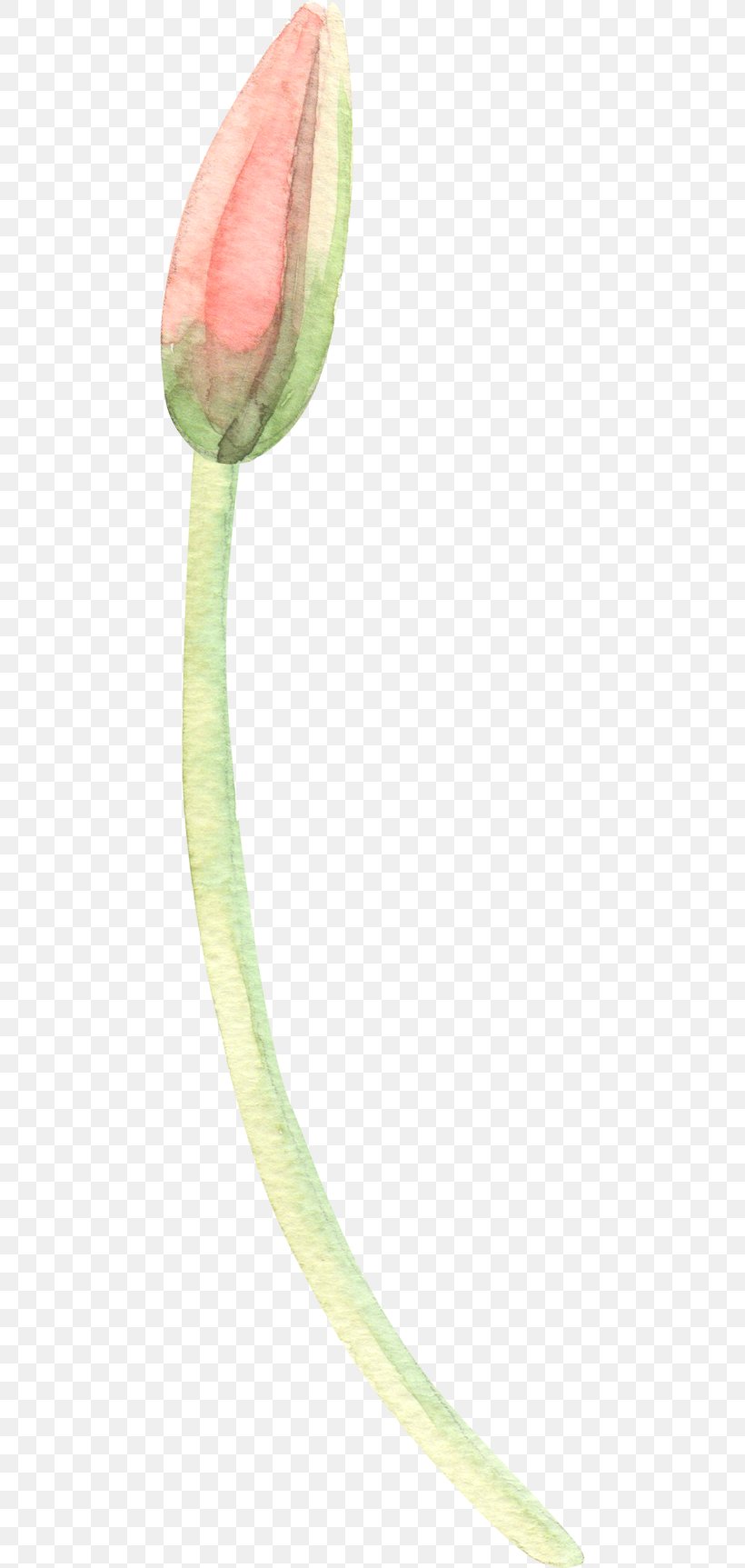 Petal Leaf Plant Stem Close-up Flowering Plant, PNG, 468x1725px, Petal, Closeup, Flower, Flowering Plant, Leaf Download Free