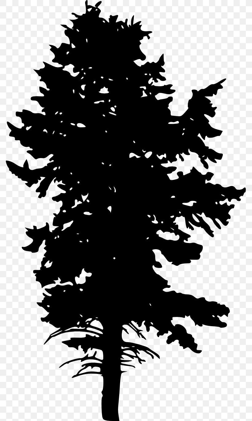 Image Silhouette Blue Spruce Clip Art, PNG, 781x1367px, Silhouette, American Larch, Balsam Fir, Black Spruce, Blackandwhite Download Free