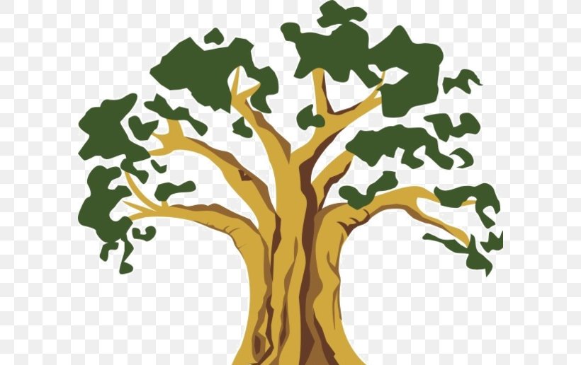 The Tree Book: For Kids And Their Grown-ups Banyan Wood Illustration, PNG, 600x516px, Tree, Banyan, Banyan Tree Holdings, Branch, Flower Download Free