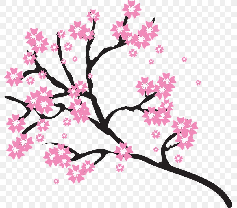 Cherry Blossom Drawing Clip Art, PNG, 789x720px, Cherry Blossom, Art, Blossom, Branch, Cherry Download Free
