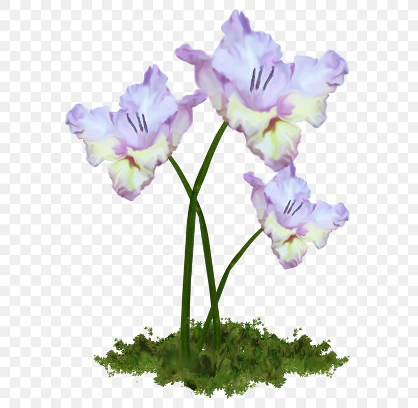 Cut Flowers Flower Bouquet Tulip Clip Art, PNG, 614x800px, Cut Flowers, Floral Design, Flower, Flower Bouquet, Flowering Plant Download Free