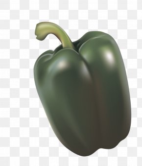 Chili Pepper Clip Art Peppers Capsicum Annuum Var Acuminatum Png