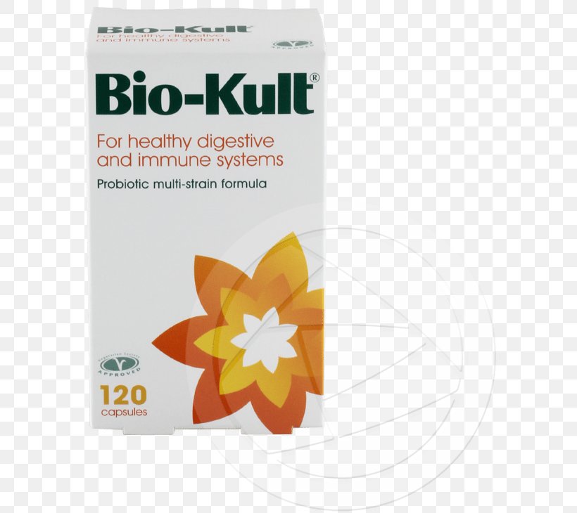 Probiotic Dietary Supplement Health Bacteria Capsule, PNG, 590x730px, Probiotic, Bacteria, Capsule, Dietary Supplement, Flower Download Free