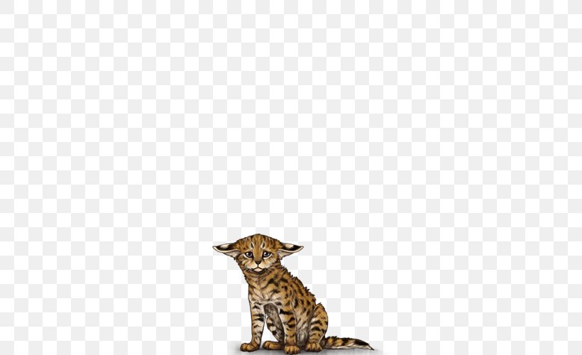 Big Cat Cheetah Terrestrial Animal Tail, PNG, 640x500px, Cat, Animal, Big Cat, Big Cats, Carnivoran Download Free