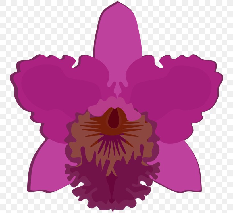 Flowering Plant Plants Cattleya Bicolor Dendrobium Dancing-lady Orchid, PNG, 750x750px, Flowering Plant, Bulbophyllum, Cattleya, Cattleya Bicolor, Cattleya Labiata Download Free