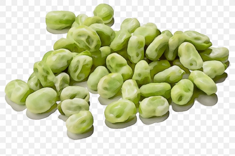 Food Plant Broad Bean Vegetable Ingredient, PNG, 1024x683px, Watercolor, Bean, Broad Bean, Food, Fruit Download Free