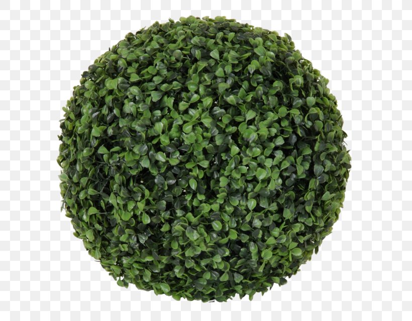Topiary Buxus Sempervirens Plant Shrub Flowerpot, PNG, 640x640px, Topiary, Artificial Flower, Box, Buxus Sempervirens, Centimeter Download Free