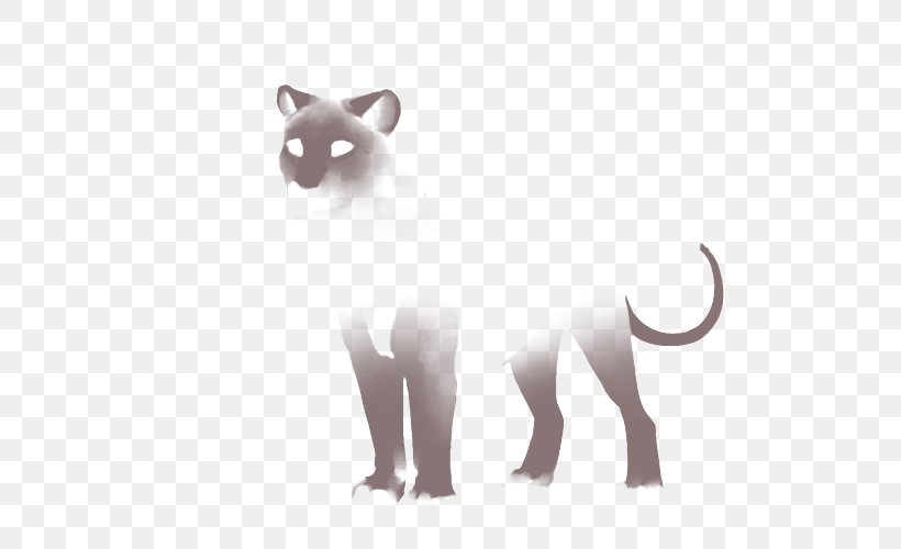 Whiskers Lion Felidae Cheetah Siamese Cat, PNG, 640x500px, Whiskers, Albinism, Carnivoran, Cat, Cat Like Mammal Download Free