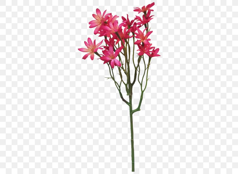 Cut Flowers Floral Design Flowerpot Plant Stem, PNG, 800x600px, Cut Flowers, Branch, Family, Family Film, Flora Download Free