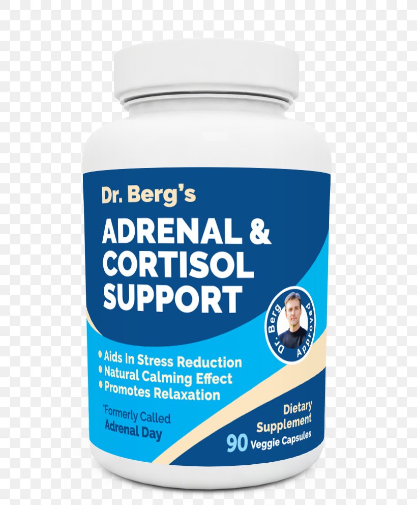 Dietary Supplement Adrenal Fatigue Adrenal Gland Cortisol Health, PNG, 567x992px, Dietary Supplement, Abdominal Obesity, Adrenal Fatigue, Adrenal Gland, Anxiety Download Free