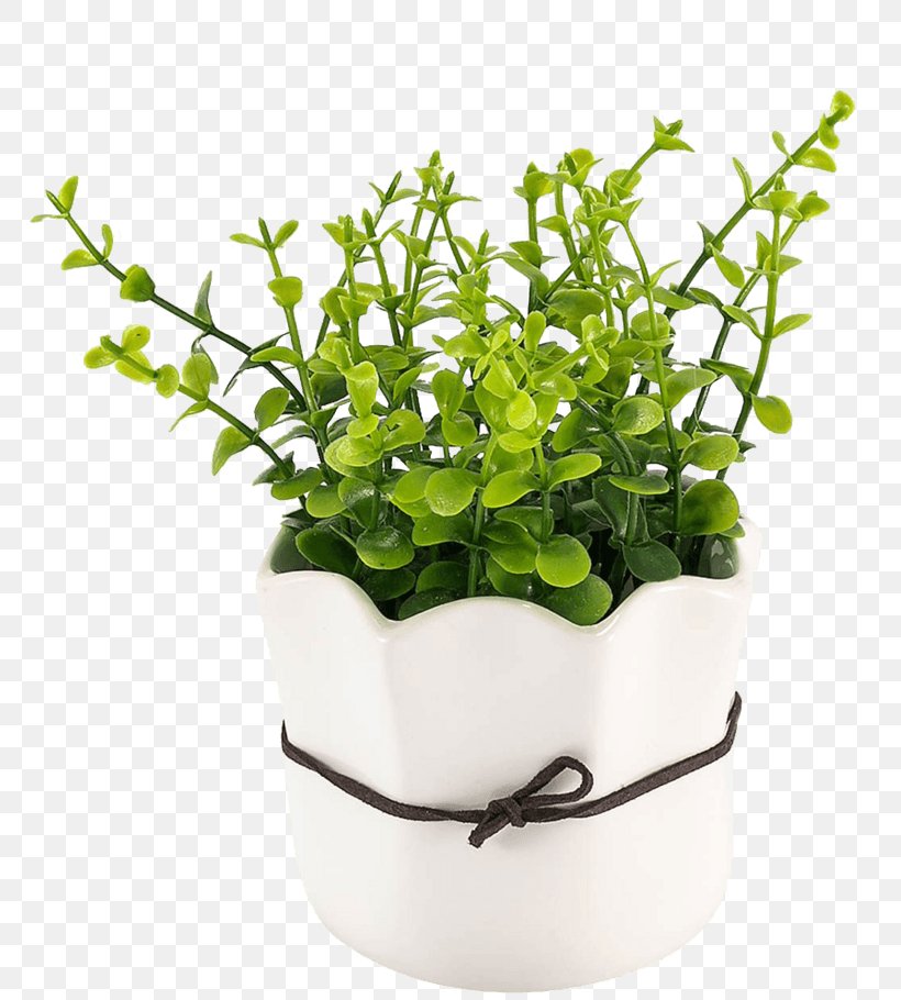Flowerpot Magnetic Levitating Floating Plant Pot Hook Garden Plants, PNG, 803x910px, Flowerpot, Bonsai, Clothes Hanger, Container, Garden Download Free