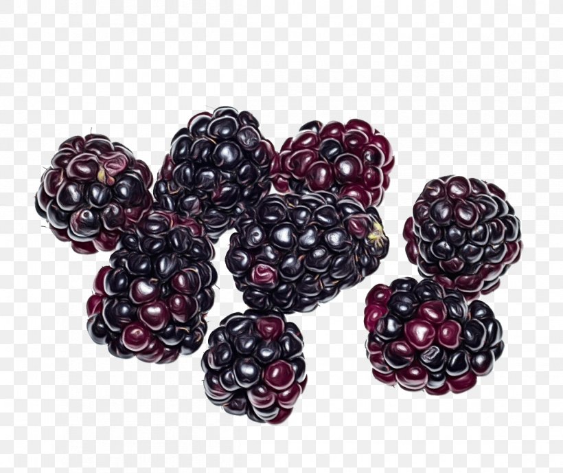 Fruit Cartoon, PNG, 1199x1007px, Boysenberry, Bead, Berries, Berry, Blackberry Download Free