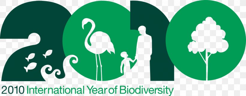 International Year Of Biodiversity Convention On Biological Diversity United Nations Decade On Biodiversity Global Biodiversity, PNG, 1200x468px, International Year Of Biodiversity, Biodiversity, Biodiversity Hotspot, Biodiversity Loss, Biology Download Free