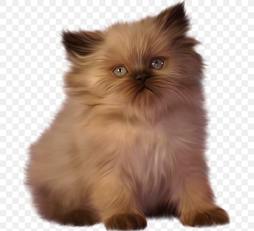 Kitten Ragdoll Persian Cat Clip Art, PNG, 670x748px, Kitten, Asian Semi Longhair, Birman, British Semi Longhair, Carnivoran Download Free