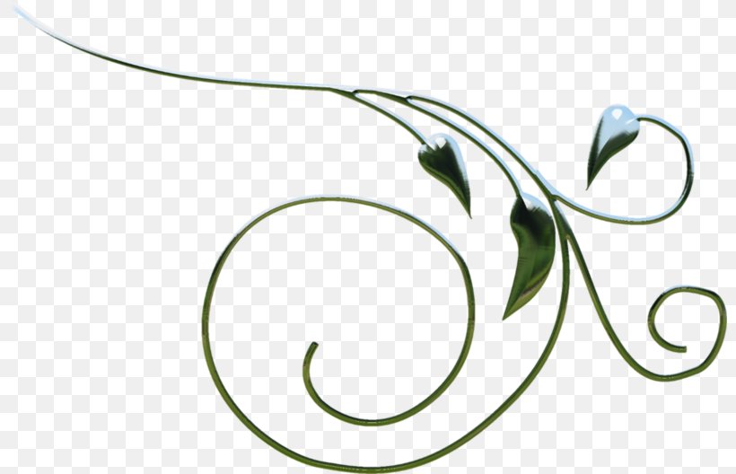 Leaf Flower Plant Stem Clip Art Pattern, PNG, 800x528px, Leaf, Animal, Body Jewellery, Botany, Flower Download Free